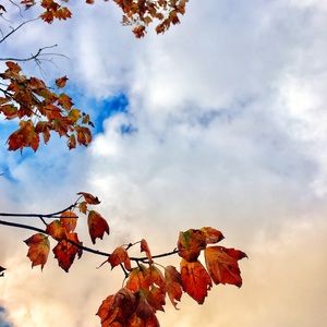 Meet your Posher, Carly C.